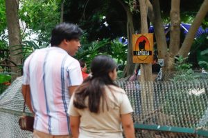 Familias celebraron el Décimo sexto aniversario de ANIMAYA con alegría, espectáculos y momentos de sana convivencia familiar en un día inolvidable.