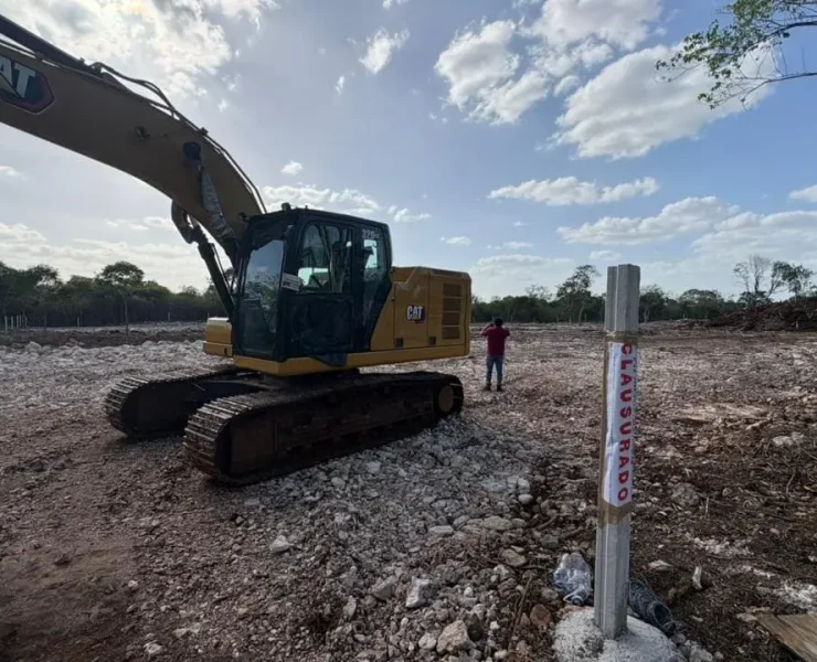 Actividades ilícitas en la Reserva Cuxtal derivan en clausura de predio
