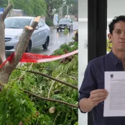 Afectaciones a árboles en Circuito Colonias generan denuncia formal