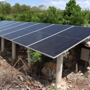 Sistema solar impulsa producción agrícola eficiente en Motul Yucatán