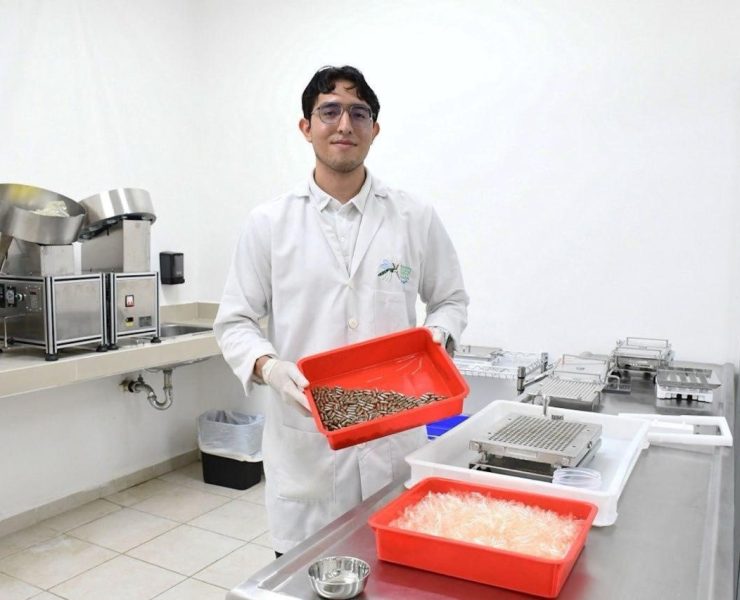 Yucatán destaca en estrategia nacional contra el dengue con resultados históricos