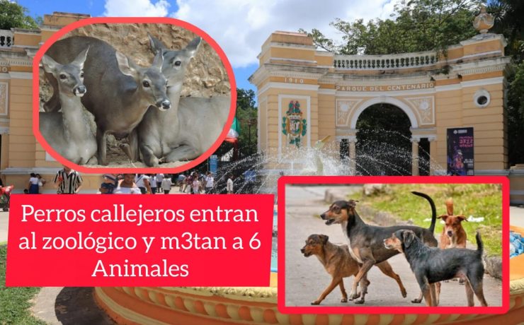 Tragedia en el Centenario: jauría m3ta a seis animales