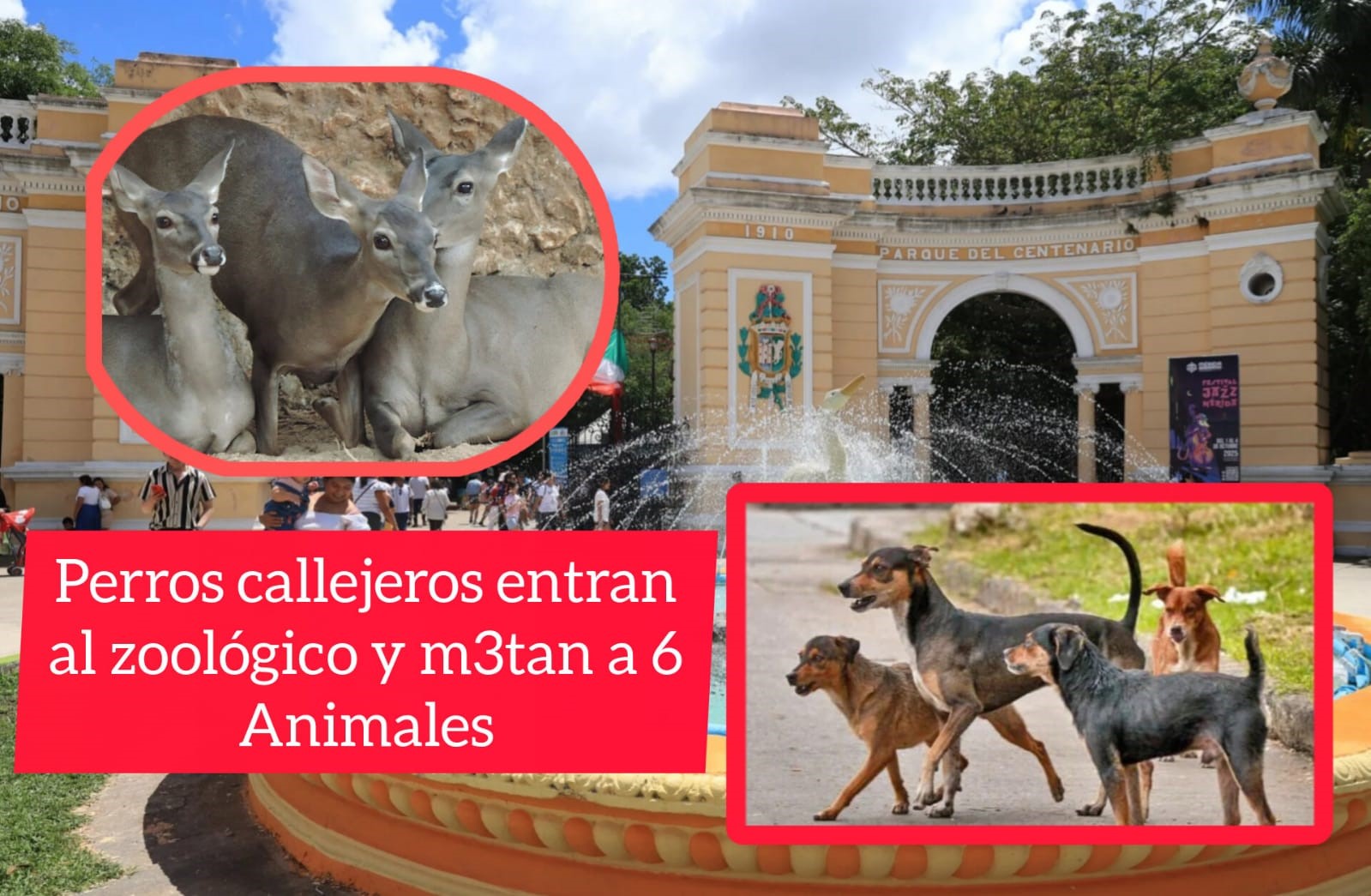 Tragedia en el Centenario: jauría m3ta a seis animales