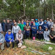 ¡Esperanzador! Especialistas y comunidades unen fuerzas para proteger los ecosistemas costeros