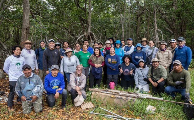 ¡Esperanzador! Especialistas y comunidades unen fuerzas para proteger los ecosistemas costeros
