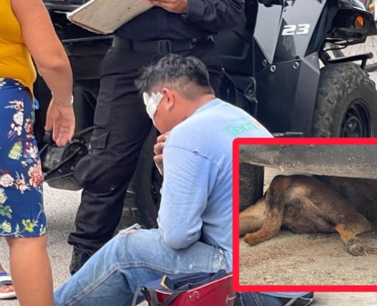 ¡Nadie lo vio venir! Un perro provoca fuerte accidente de motocicleta en Tizimín