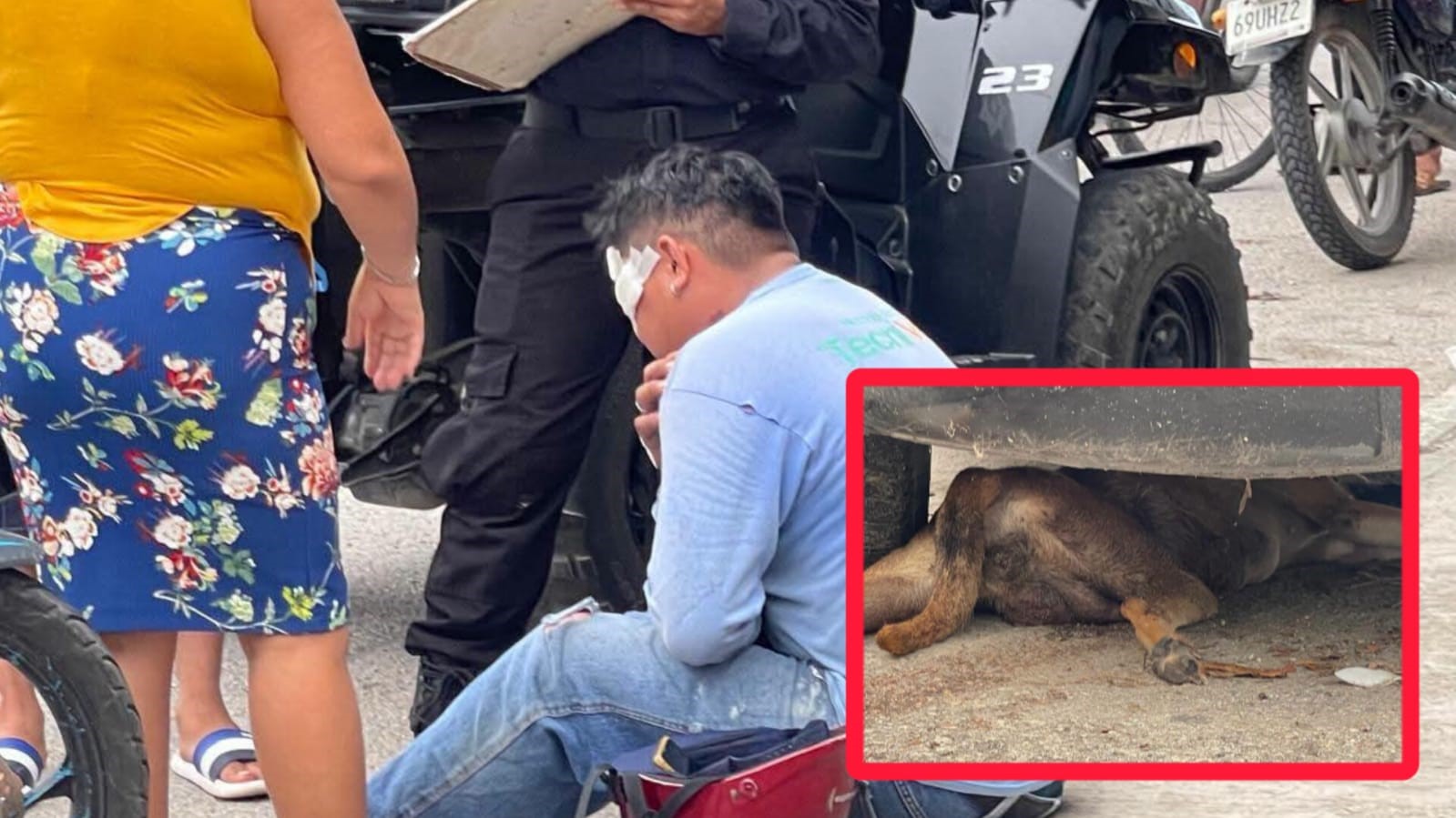 ¡Nadie lo vio venir! Un perro provoca fuerte accidente de motocicleta en Tizimín