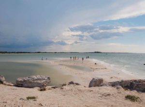 Las dunas costeras de Chuburná Puerto son consideradas un refugio natural donde diversas especies encuentran condiciones para sobrevivir, por lo que ciudadanos piden garantizar su conservación ante posibles desarrollos inmobiliarios.