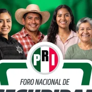 Diálogos por la seguridad reunirán a expertos y liderazgos nacionales