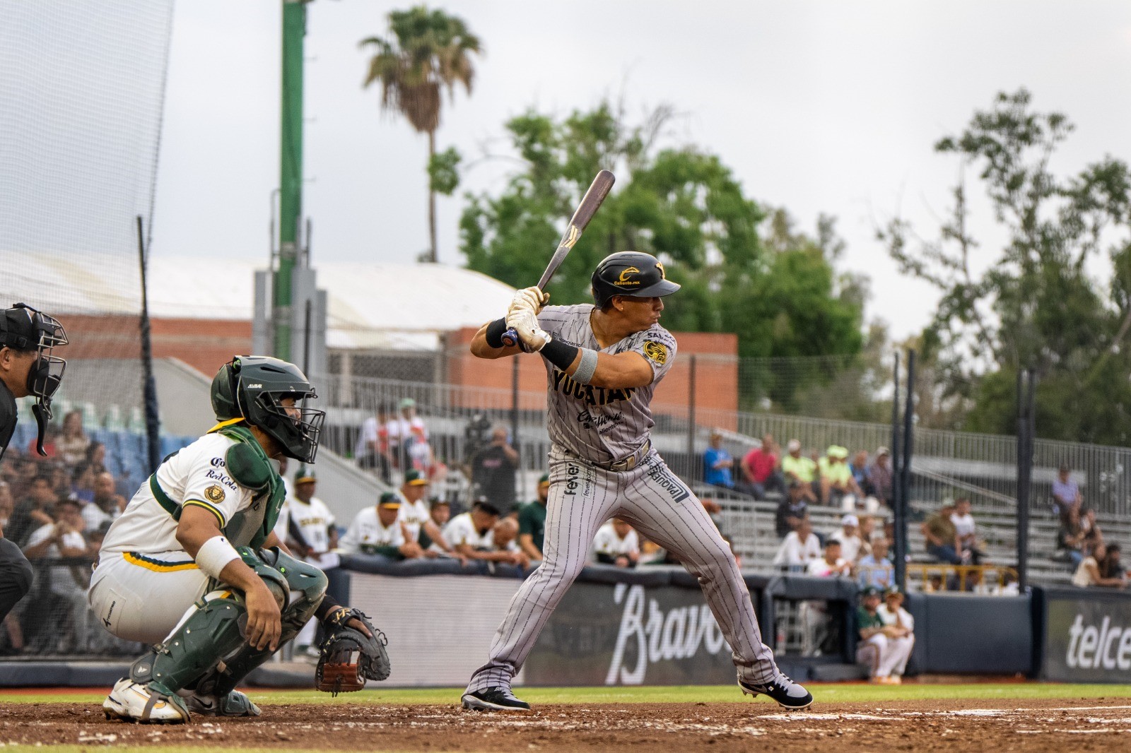 León se queda con la serie completa ante Yucatán