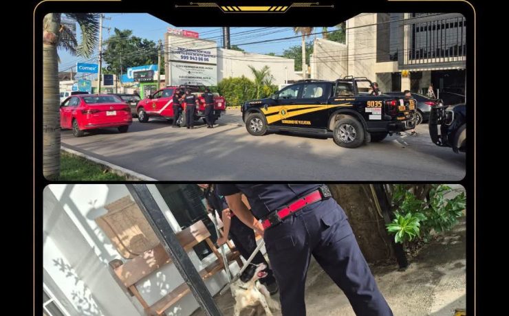 SSP activa protocolo tras reportes de mordeduras de animal bravío ¡Alerta!