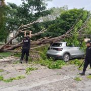 SSP atiende 246 reportes por lluvias: ¡Alerta!
