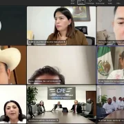Servicio eléctrico confiable para las familias con estrategia coordinada