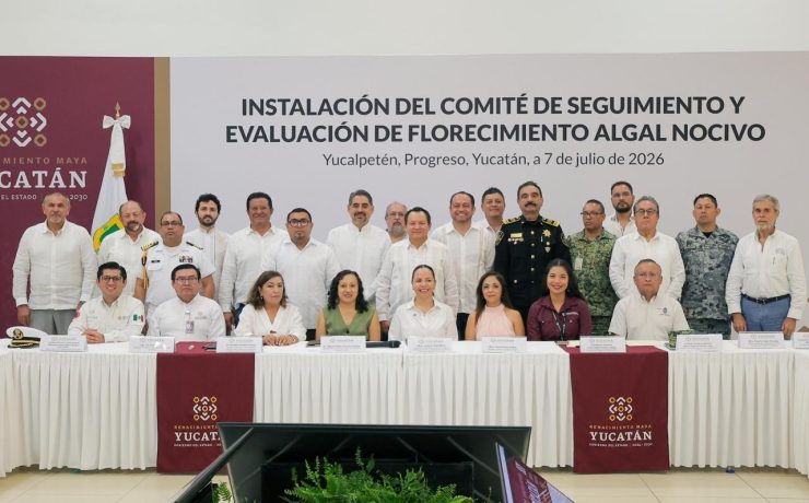 ¡Alerta Costera! Playas de Yucatán vigiladas con monitoreo permanente contra marea roja