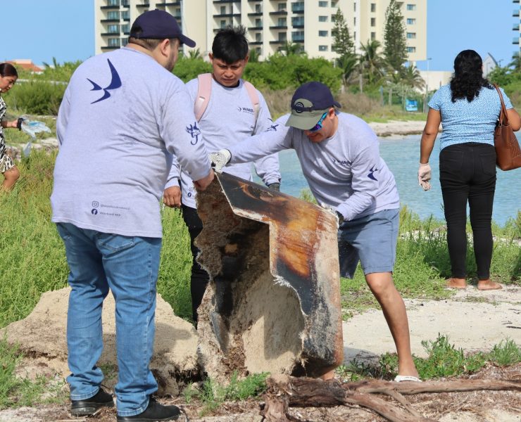 ¡Impactante! Comunidad y organizaciones transforman las playas de Progreso con gran limpieza