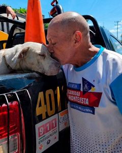 Autoridades resguardaron a dos perros pitbulls tras el ataque a una mujer ocurrido en la colonia Bojórquez, al poniente de Mérida.