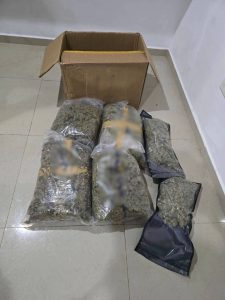 Autoridades aseguraron más de 400 kilos de presunta marihuana durante dos cateos realizados en Mérida y Conkal, como parte de un operativo contra el narcomenudeo.