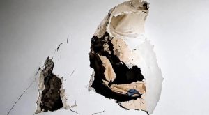 El hallazgo dentro de los muros de una vivienda de Ciudad Caucel encendió las alarmas sobre la calidad de los materiales utilizados en su construcción.