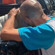 Resguardaron a dos perros pitbulls tras ataque en Mérida