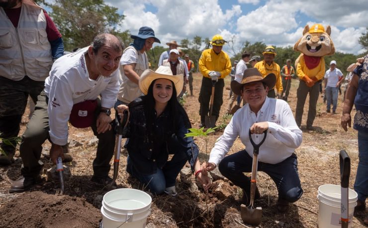 Yucatán inicia Jornada de Reforestación