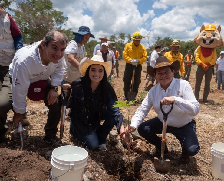 Yucatán inicia Jornada de Reforestación