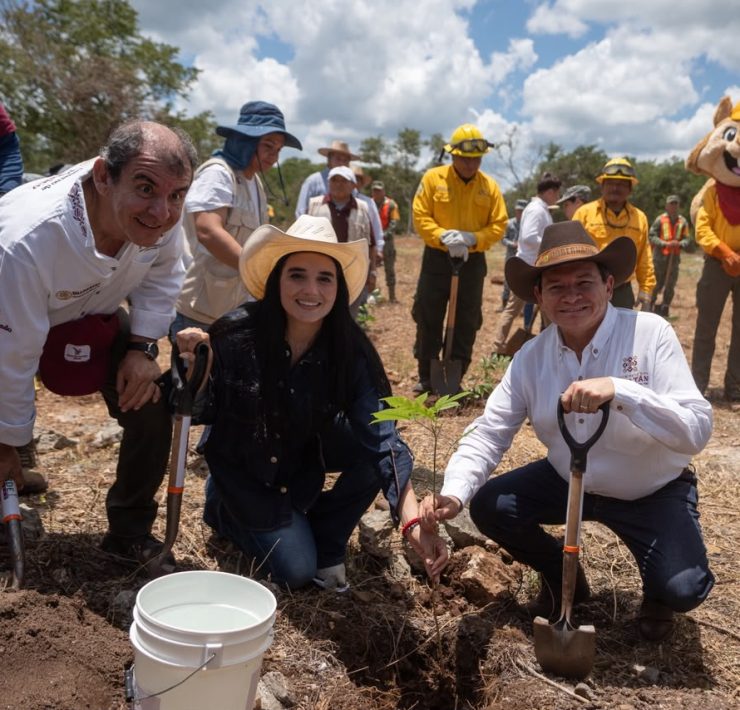 Yucatán inicia Jornada de Reforestación