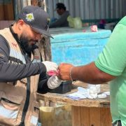 Yucatán refuerza acciones para certificarse como estado libre de paludismo: ¡Alerta!