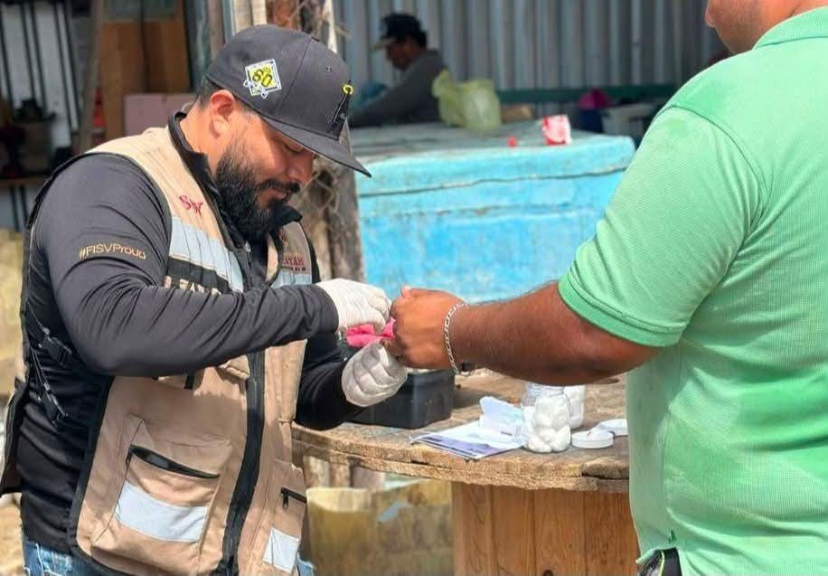 Yucatán refuerza acciones para certificarse como estado libre de paludismo: ¡Alerta!