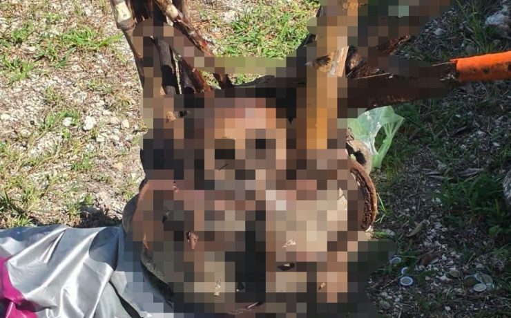 ¿Qué está pasando en el cementerio de Komchén? Hallan huesos fuera de tumbas y presuntos objetos de ritu3les