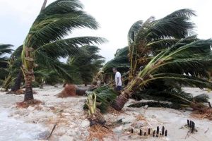 La agricultura de Yucatán también sufrió importantes afectaciones tras el paso del huracán Isidoro en 2002, debido a las intensas lluvias, inundaciones y fuertes vientos que impactaron las zonas productivas.