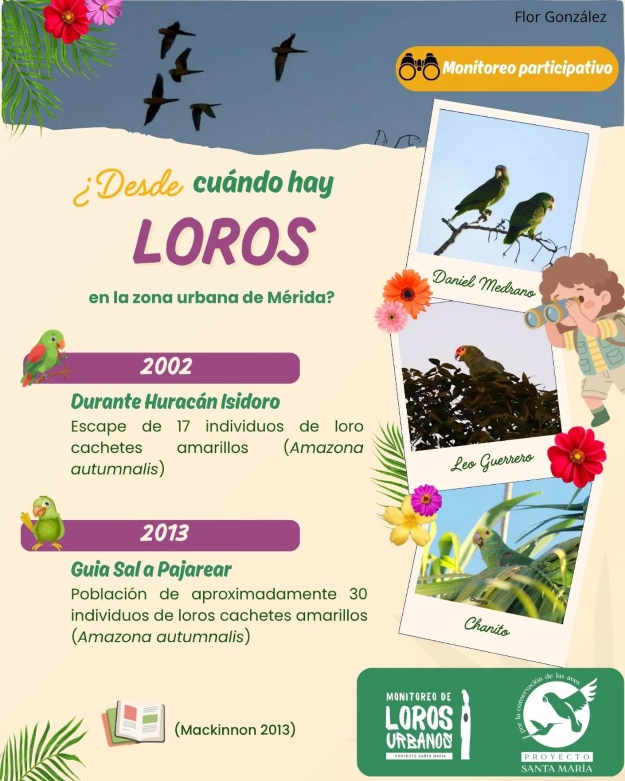 Loros de la Plaza Grande vuelven a sufrir el estruendo de la pirotecnia