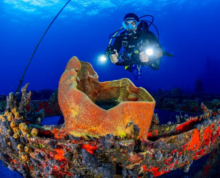 Buceo en Quintana Roo: Nuevos Acuerdos Para Facilitar La Experiencia Turística