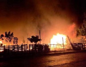 Incendio consumió viviendas en el sur de Mérida, generando alarma entre vecinos de la colonia Renacimiento, quienes salieron de sus hogares ante el riesgo de que las llamas se extendieran.