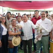 Yucatán refuerza vacunación antirrábica y mantiene 28 años sin rabia