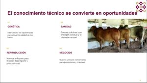 La capacitación técnica en el sector ganadero busca fortalecer la genética, mejorar la reproducción, impulsar la sanidad y abrir nuevas oportunidades comerciales para productores y criadores de Yucatán, elevando la calidad y productividad de los hatos.