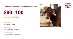 La Feria y la actividad ganadera en Yucatán generarían una derrama económica estimada de entre 80 y 100 millones de pesos, impulsando el comercio en Mérida, la promoción de la ganadería y mayores oportunidades para productores y criadores del estado.