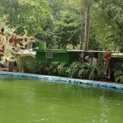 Detectaron “Ameba come cerebros” en seis lagos artificiales de Mérida