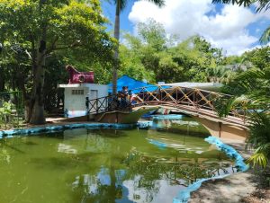 El lago del Zoológico del Centenario, en Mérida, fue uno de los cuerpos de agua donde se detectó la presencia de la llamada “ameba comecerebros”, por lo que se restringió el contacto con el agua como medida preventiva para proteger la salud de los visitantes.