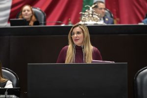 La diputada federal Jessica Saidén Quiroz destacó la aprobación de la Ley de Ingresos 2027, al señalar que fortalecer las finanzas públicas es fundamental para impulsar los programas de bienestar, la seguridad ciudadana y el desarrollo de México.
