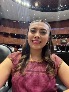 Linette Fernández figura entre los posibles aspirantes de Morena a las Diputaciones federales por Yucatán, dentro del Distrito 3 con cabecera en Mérida, rumbo al próximo proceso electoral.