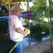 Protocolos preventivos en el lago del Centenario tras detección de ameba