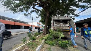 Trabajos preventivos ante efectos de la zona de baja presión en el Golfo de México incluyen poda de árboles en vialidades de Mérida para reducir riesgos ante posibles fuertes vientos.